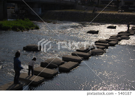 Kamogawa橫穿的墊腳石與父母和孩子 Kamogawa橫穿的墊腳石與父母和孩子 540187