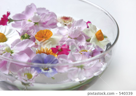 floating flowers 540339