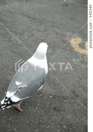 sci-fi, science fiction, san francisco 540340