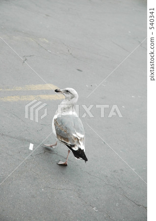 sci-fi, science fiction, san francisco 540341