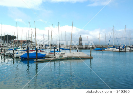 美國芝加哥 美國 美國人 540360