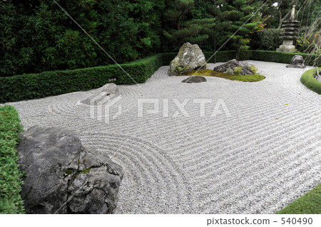 Hoarding house 540490