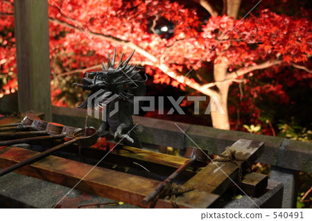 The autumnal leaves light up at Oyama-ji 540491