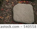 Stepping stones and dead leaves 540558