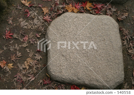踏腳石和枯葉 踏腳石和枯葉 540558