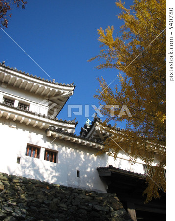 與和歌山城堡的銀杏 540780