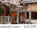 Tatsumi Omijin和京都祗園的櫻花 541399