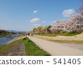 Kamogawa河沿岸的Sakuraba 541405