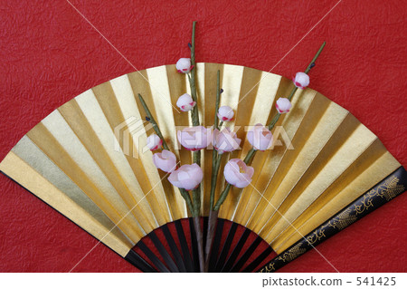 Plums and fans 541425