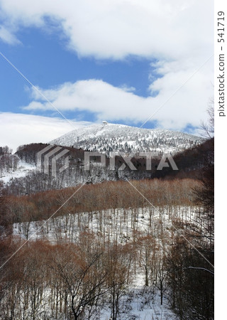 在初冬的Hakkoda Tamo Mt. 541719