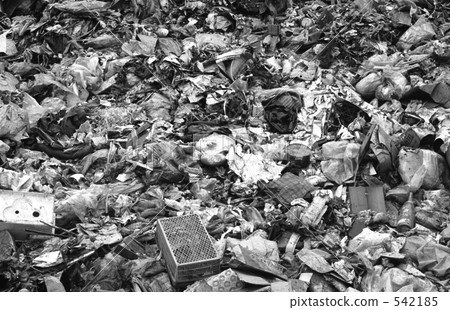 Tokyo Bay · New Yumenoshima Showa 48 Years 542185