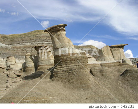 富都 富都 542233