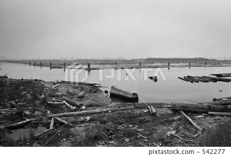 東京灣·台場昭和48年 542277