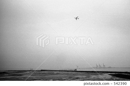 Tokyo Bay · Aomi Showa 48 Year Tokyo Bay · Aomi Showa 48 Year 542390