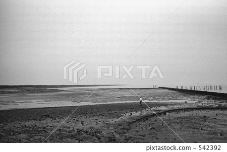 Tokyo Bay · Aomi Showa 48 Year 542392