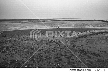 東京灣·Aomi Showa 48年 542394