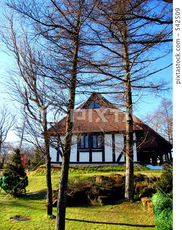 枯樹 船艙 小屋 542509