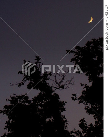 Crescent Moon  542517