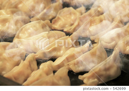Gyoza  542699