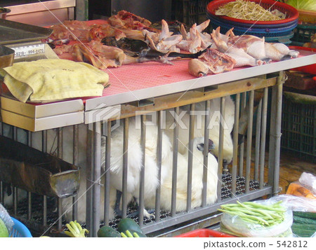 taipei, meaty, food 542812