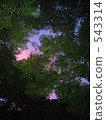 yamanaka, among the mountains, trees 543314