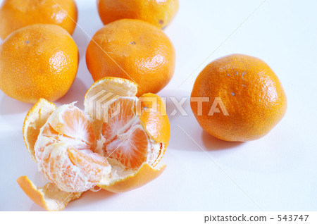 冬天“橘子” 冬天“橘子” 543747