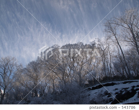 高野龍津天際冰冰7 543786
