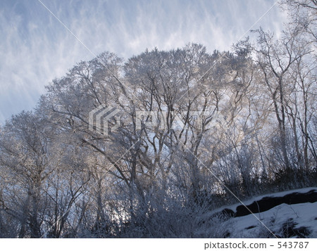 高野龍津天際冰晶8 543787