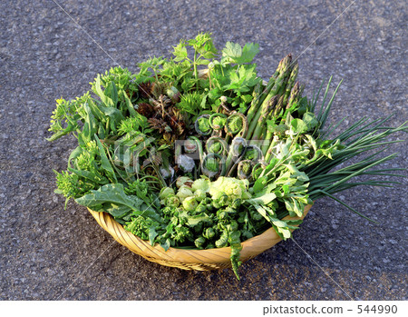 Fresh picked vegetables Fresh picked vegetables 544990