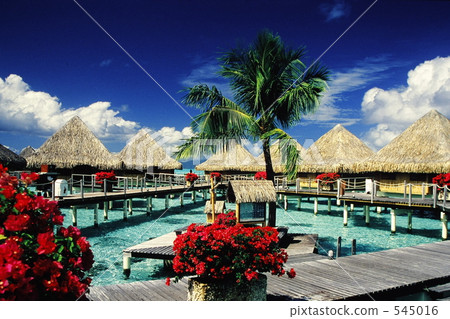 波拉波拉4 波拉波拉4 545016