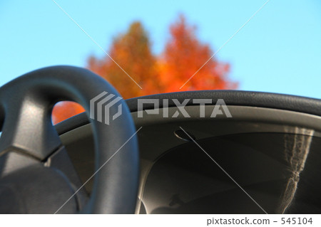 Autumn leaves in autumn drive train window Autumn leaves in autumn drive train window 545104