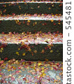 fallen leaves, defoliation, autumn leafe 545481