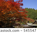 Himukai daijingu shrine, shrines and temples, higashiyama 545547