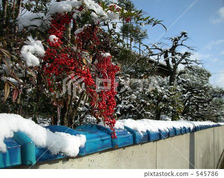 Southern skies and snow 545786