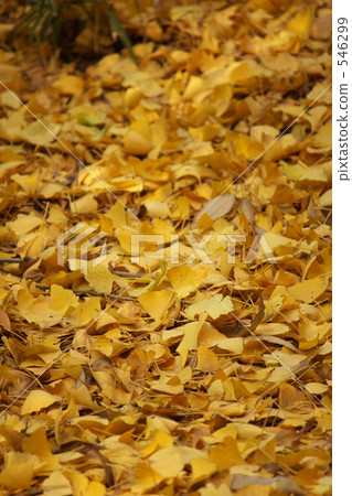 冬天的訪問 546299