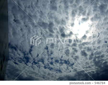 卷積雲 天空 陰天 546784