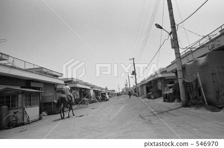 Tokyo Bay · Katsushima Showa era 4812 546970