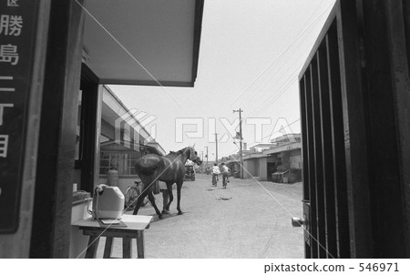 Tokyo Bay · Katsushima Showa 48 years 546971