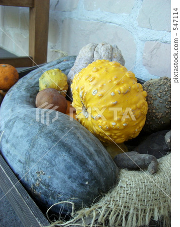 pumpkin pumpkin 547114