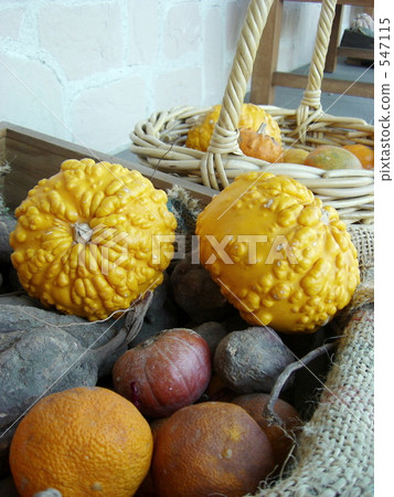 pumpkin pumpkin 547115