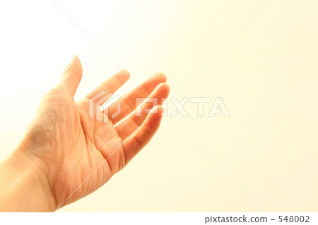 女性的手掌 548002