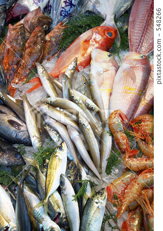 魚販店前排著新鮮的魚 548266