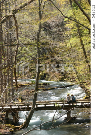 Oirase在早春 548513