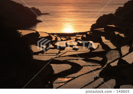 Rice terrace of sunset Rice terrace of sunset 548605