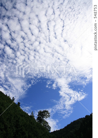 秋天鱗片雲 548753