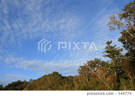 Broadleaf forests before dusk 548774