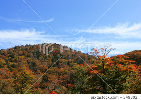 Mountains of autumn leaves 548802