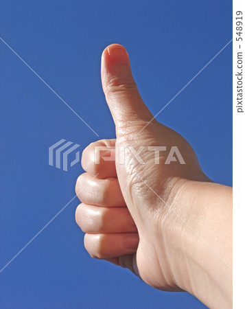 鵝在天空中 548919