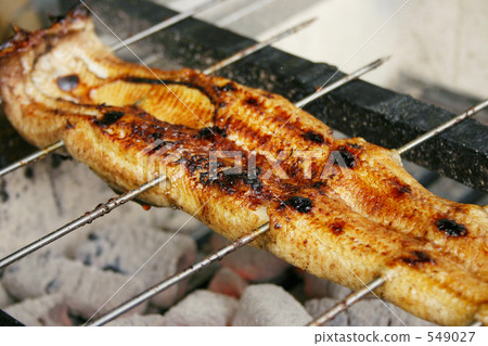 Eel white grilled Eel white grilled 549027
