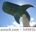 whale shark, churaumi aquarium, day 549450
